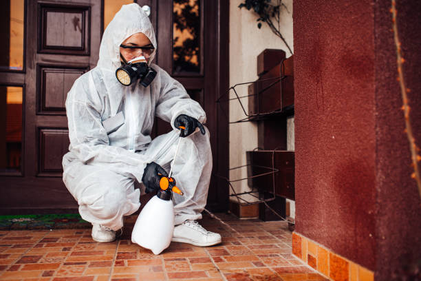 Reliable Wasp Removal contractor in Lampeter, PA by Show Me Pest Control